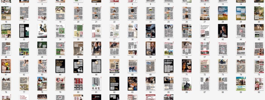 Abbildung Übersicht aller 100 Einzelseiten des Magazinlayout der neuen Piaffe.
